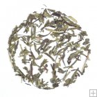 Sencha Tea Steamed Green Tea